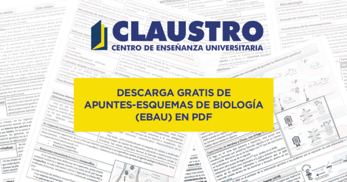 Descarga gratis nuestros apuntes-esquemas de Biología (PEvAU – Selectividad) en PDF Descarga gratis de apuntes-esquemas de Biología (EBAU) en PDF
